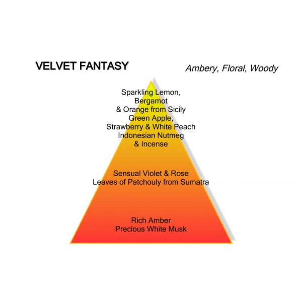 MONTALE VELVET FANTASY - Afbeelding 3