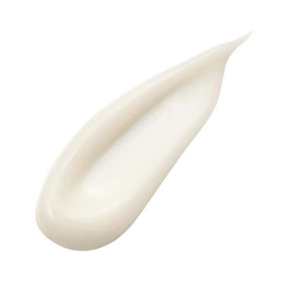 SENSAI ABSOLUTE SILK CREAM - Afbeelding 2