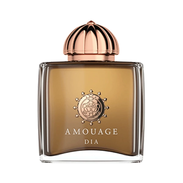 AMOUAGE DIA WOMAN EDP 100 ML