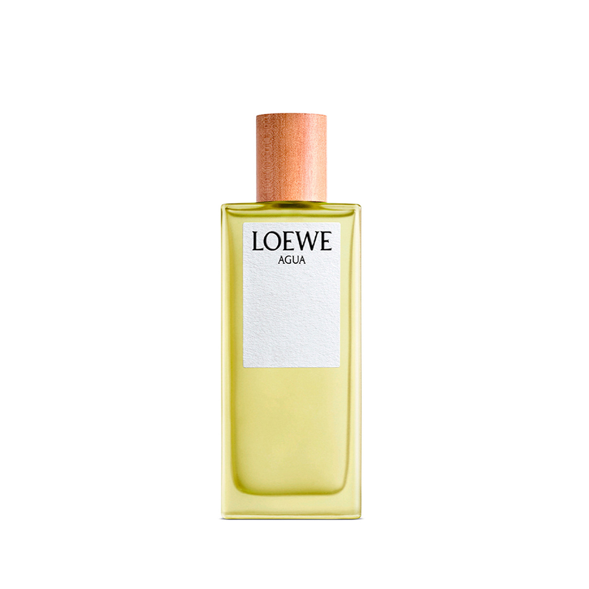 LOEWE AGUA EDT 100ml